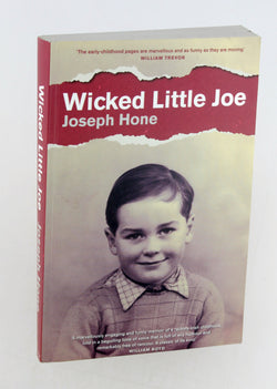 Wicked Little Joe, by Hone, Joseph  